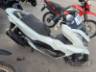 2023 HONDA PCX 
