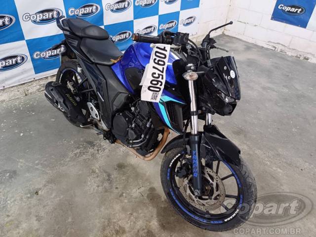 2024 YAMAHA FZ25 FAZER 