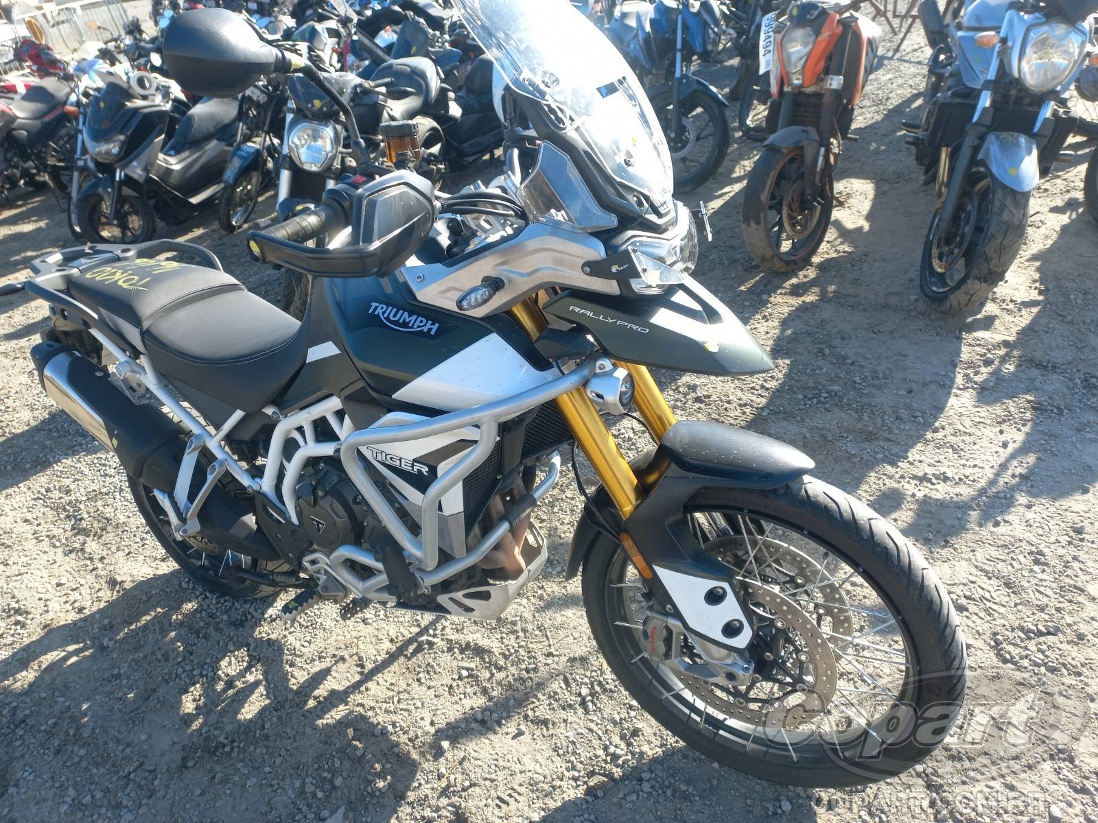 TRIUMPH TIGER 2022