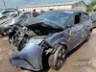 2024 BYD DOLPHIN 