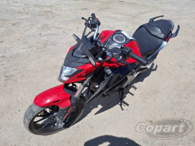 2024 HONDA CB 300F 