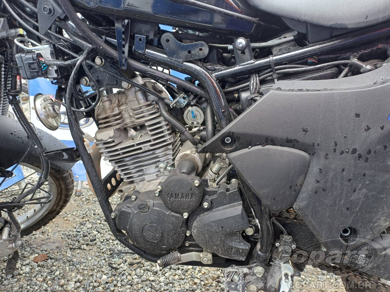Foto 5: 2024 YAMAHA XTZ 250