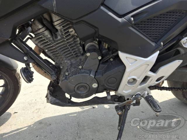 2025 HONDA CB 300F 