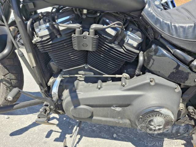 2019 HARLEY-DAVIDSON SOFTAIL 