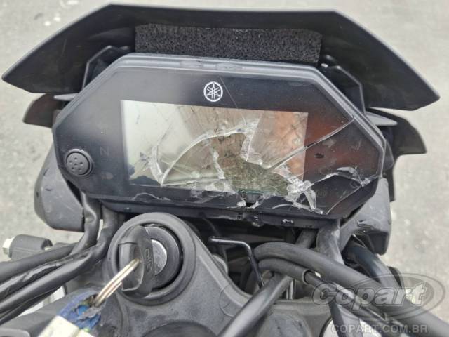 2025 YAMAHA FZ25 FAZER 