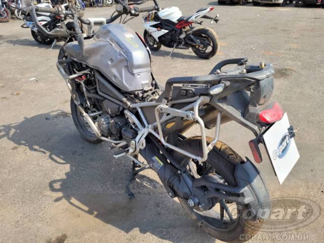 2024 TRIUMPH TIGER 