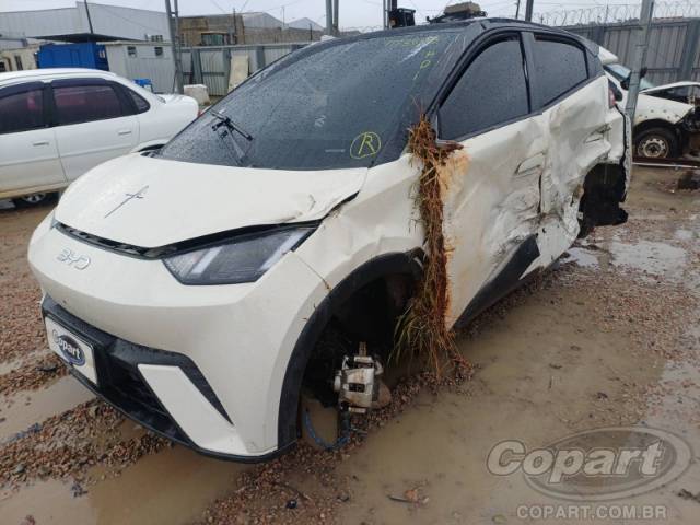 2026 BYD DOLPHIN MINI 