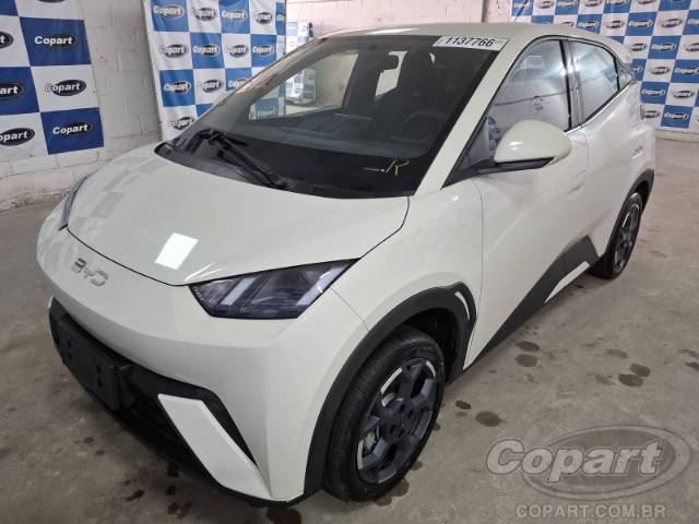 2027 BYD DOLPHIN MINI 