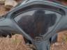 2025 SHINERAY XY 125 