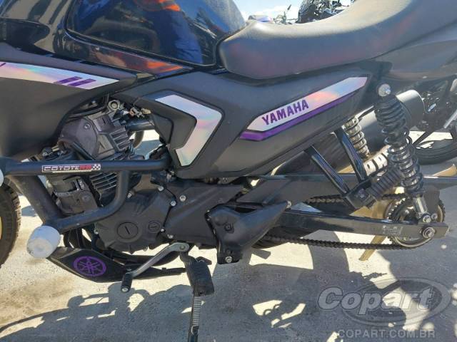 2025 YAMAHA FACTOR 