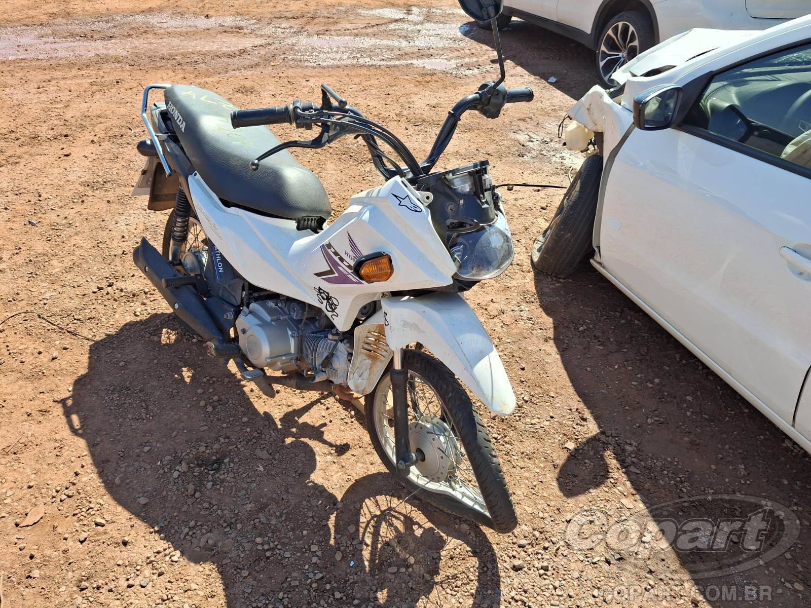HONDA POP 2025