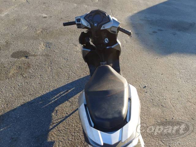2024 HONDA ELITE 
