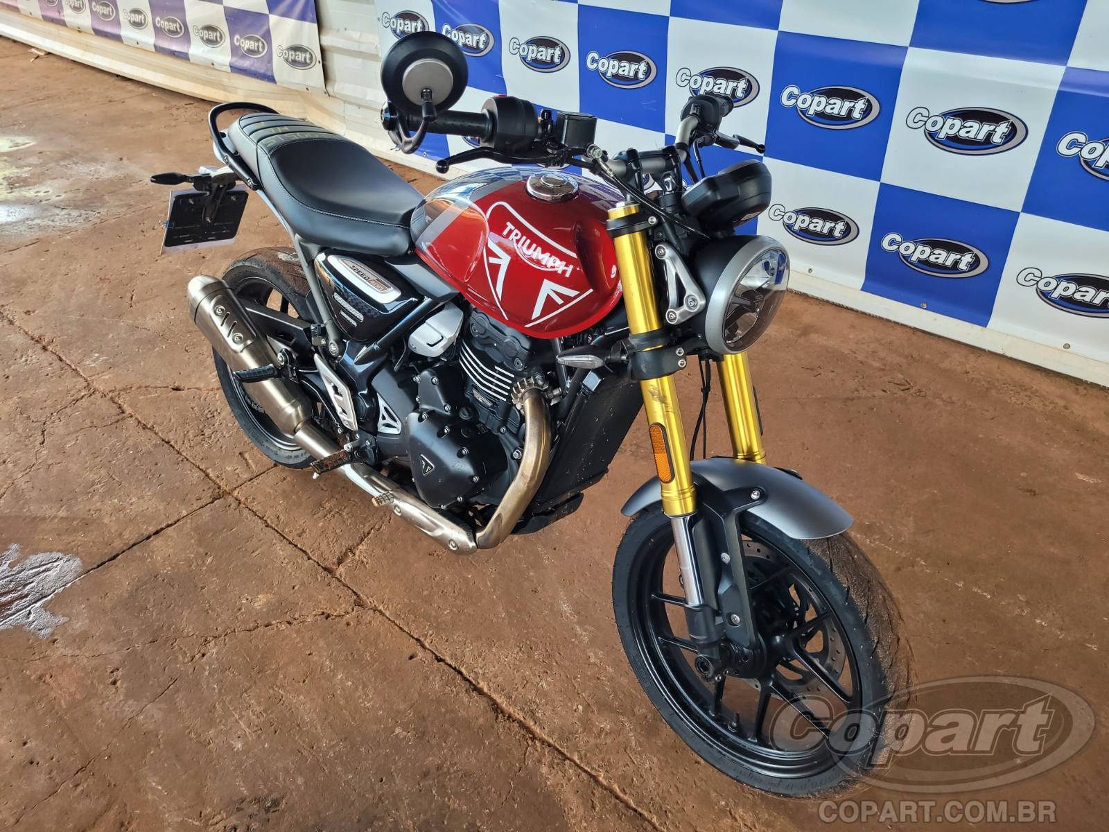Triumph Speed