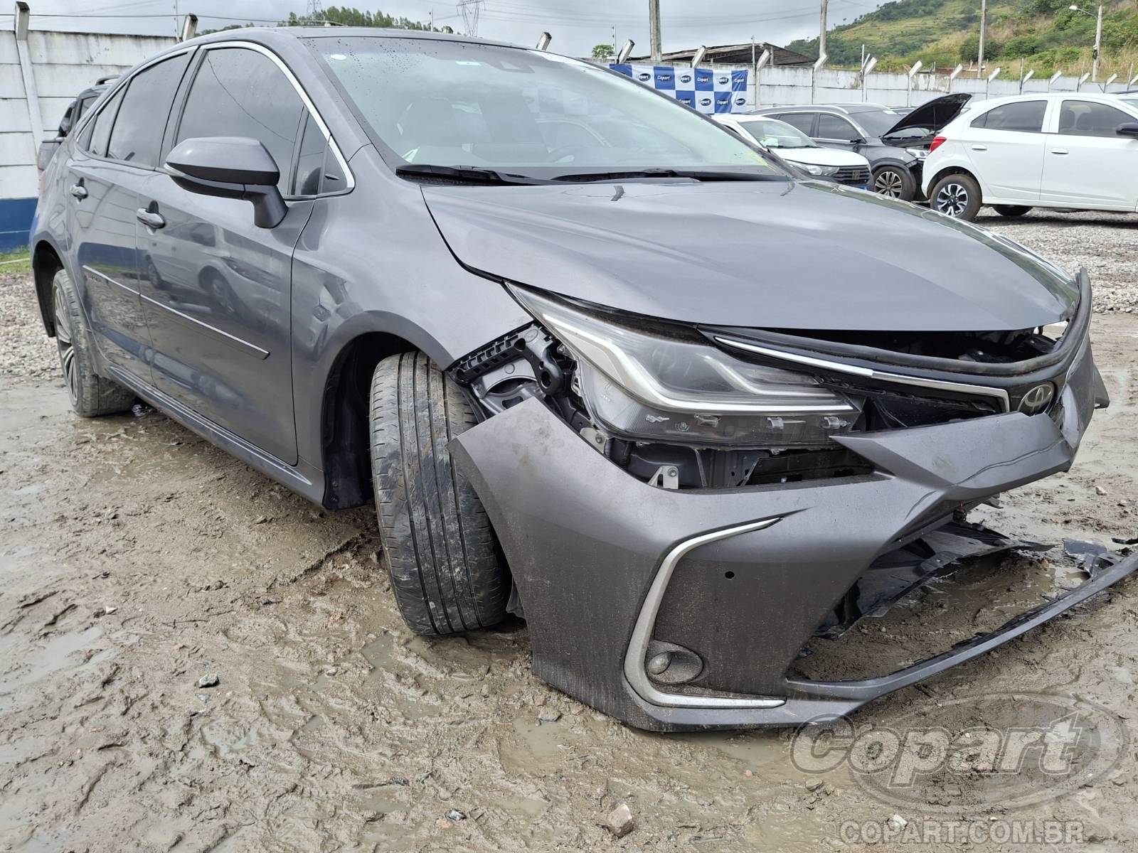 2023 TOYOTA COROLLA