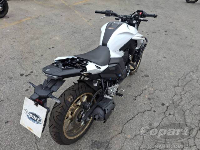 2025 YAMAHA FZ25 FAZER 