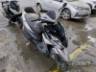 2024 HONDA ELITE 