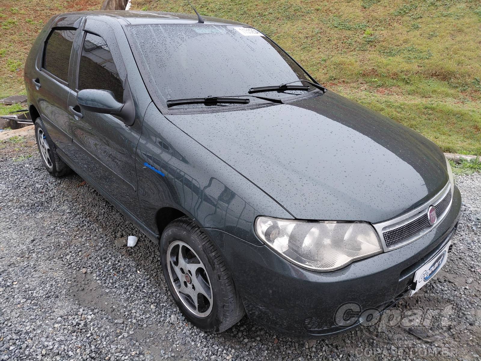 Fiat Palio Palio Weekend Trekking 1.4 Fire Flex 8V