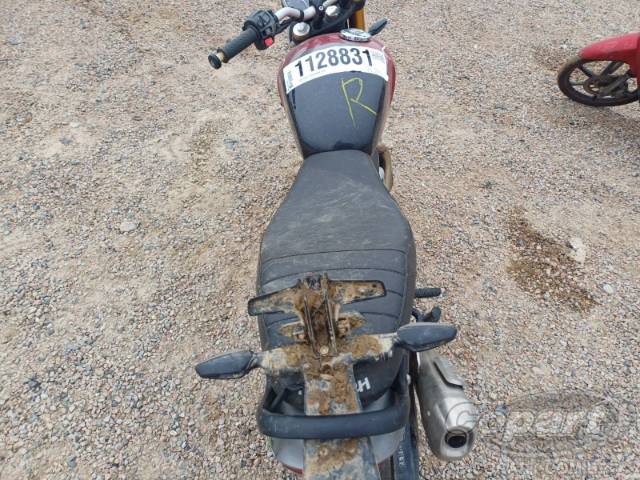 2025 TRIUMPH SPEED 