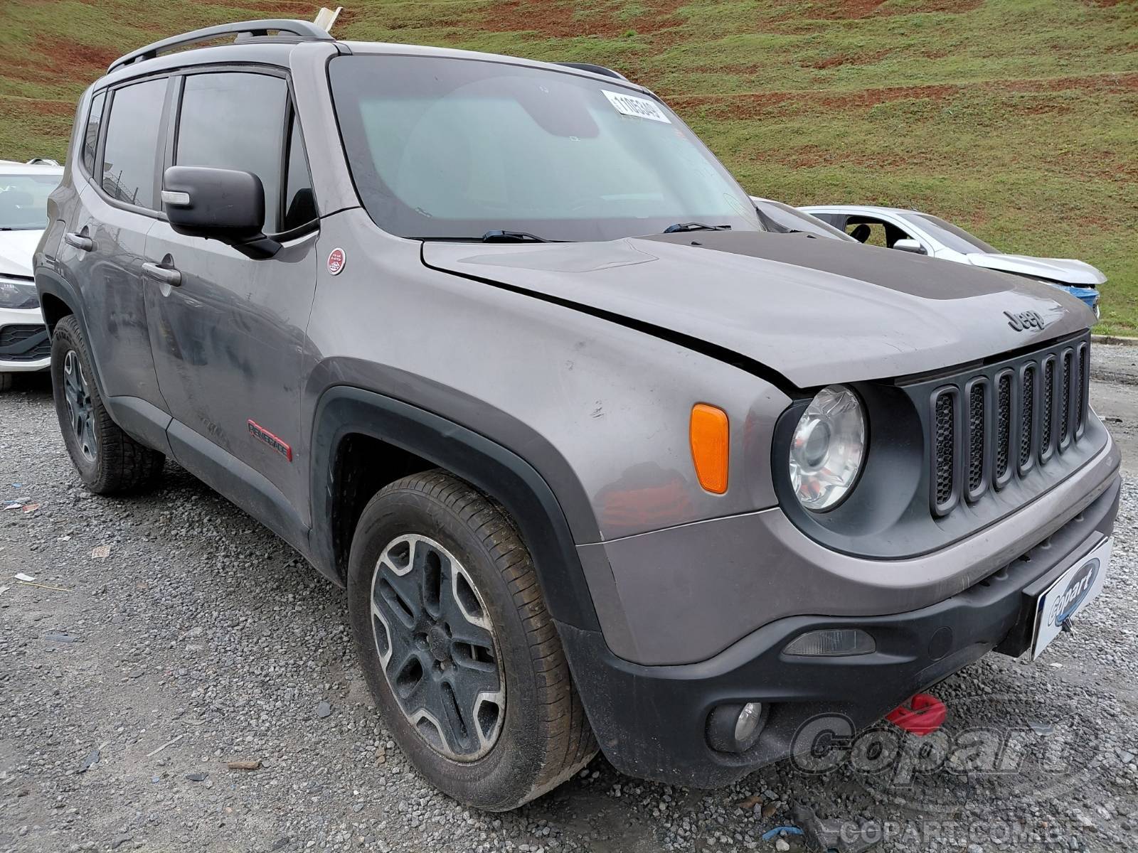 Veículo Fiat Renegade JEEP RENEGADE 2.0 MULTIJET TURBO SUV Pequenos 2017 em leilão