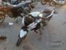 2026 BAJAJ Pulsar 