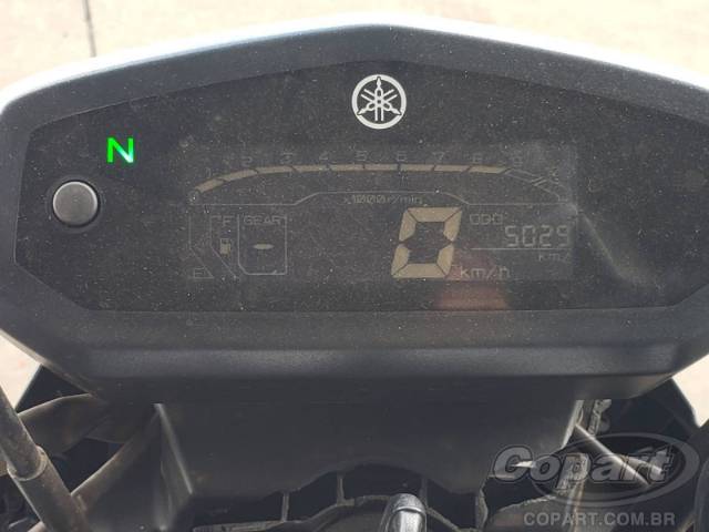 2025 YAMAHA FACTOR 