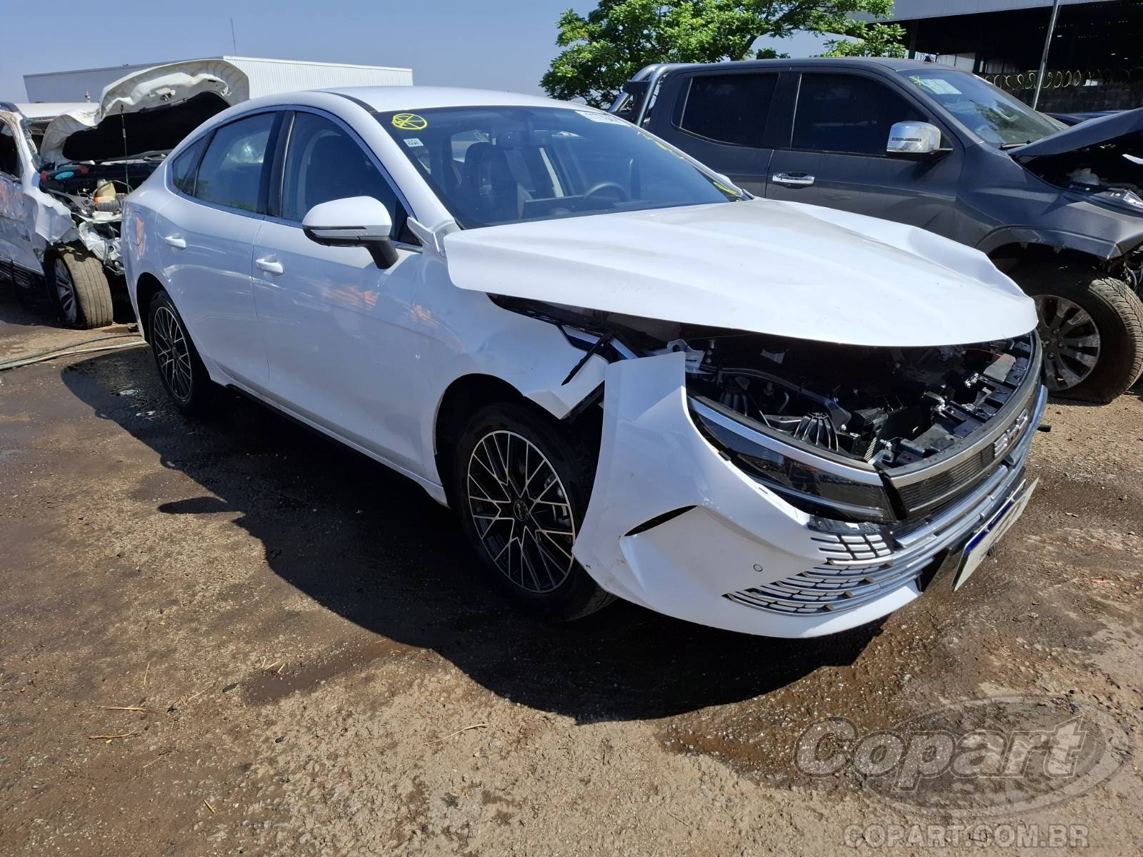 2026 BYD KING — leilão em Goiânia/GO