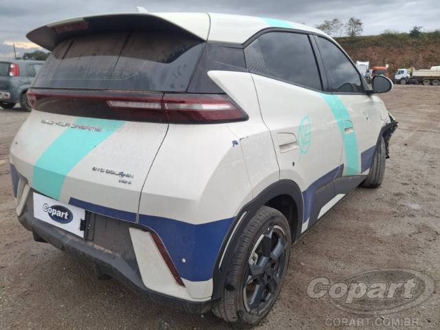 2025 BYD DOLPHIN MINI 