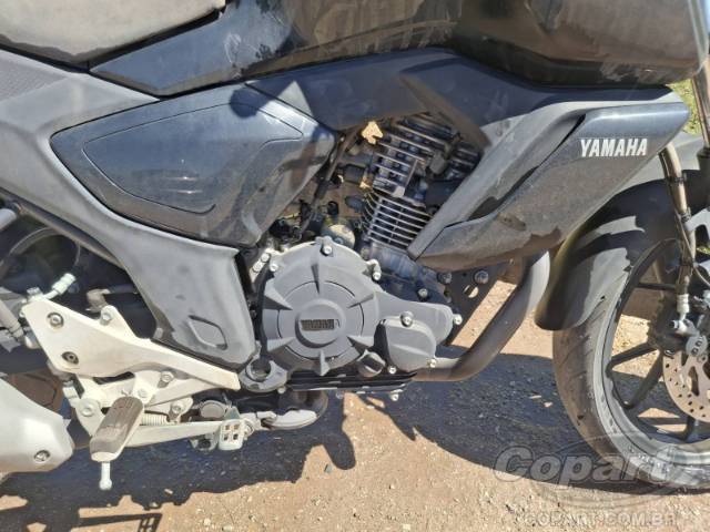 2024 YAMAHA FZ15 