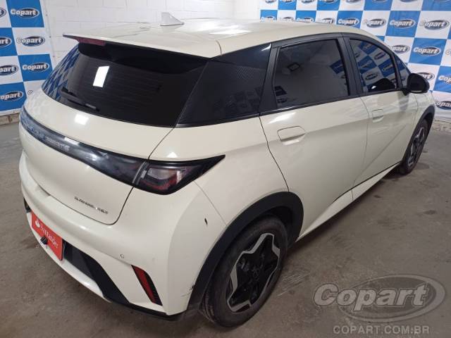 2025 BYD DOLPHIN 