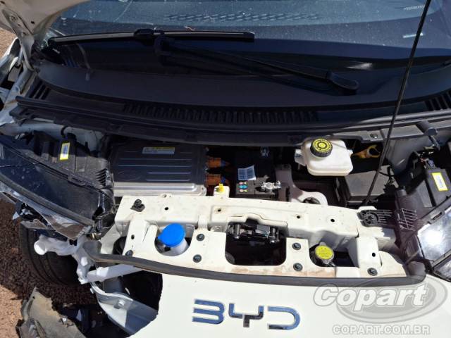 2025 BYD DOLPHIN MINI 