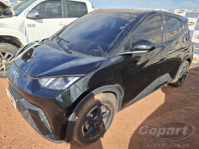 2025 BYD DOLPHIN MINI 