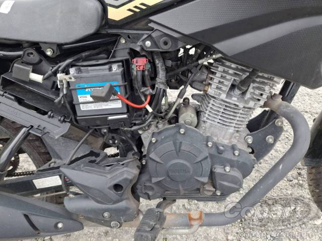 2024 YAMAHA YBR 150 FACTOR 