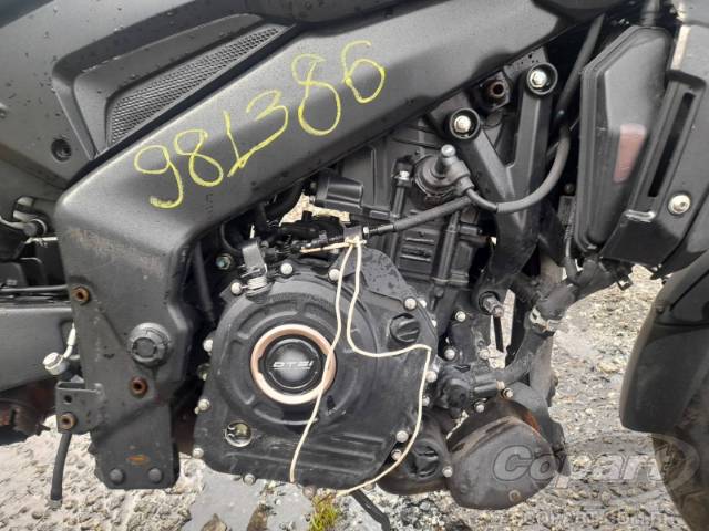 2024 BAJAJ DOMINAR 
