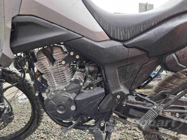 2024 HONDA XRE SAHARA 300 