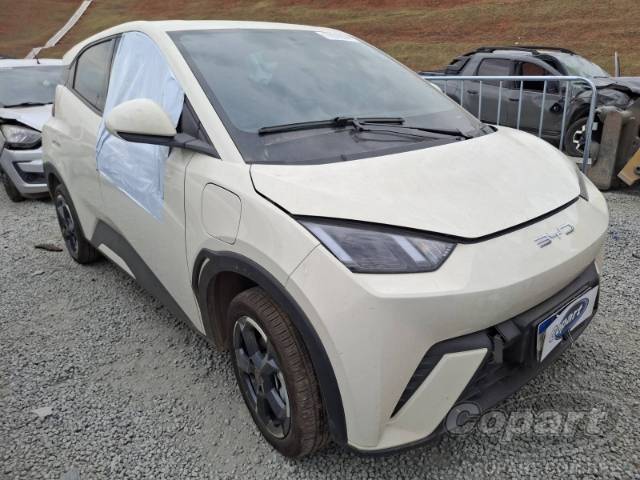 2024 BYD DOLPHIN MINI 