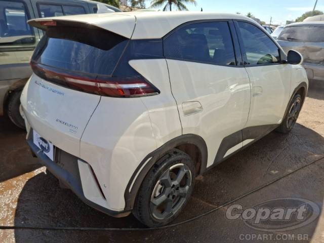 2025 BYD DOLPHIN MINI 