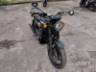 2019 TRIUMPH BONNEVILLE 