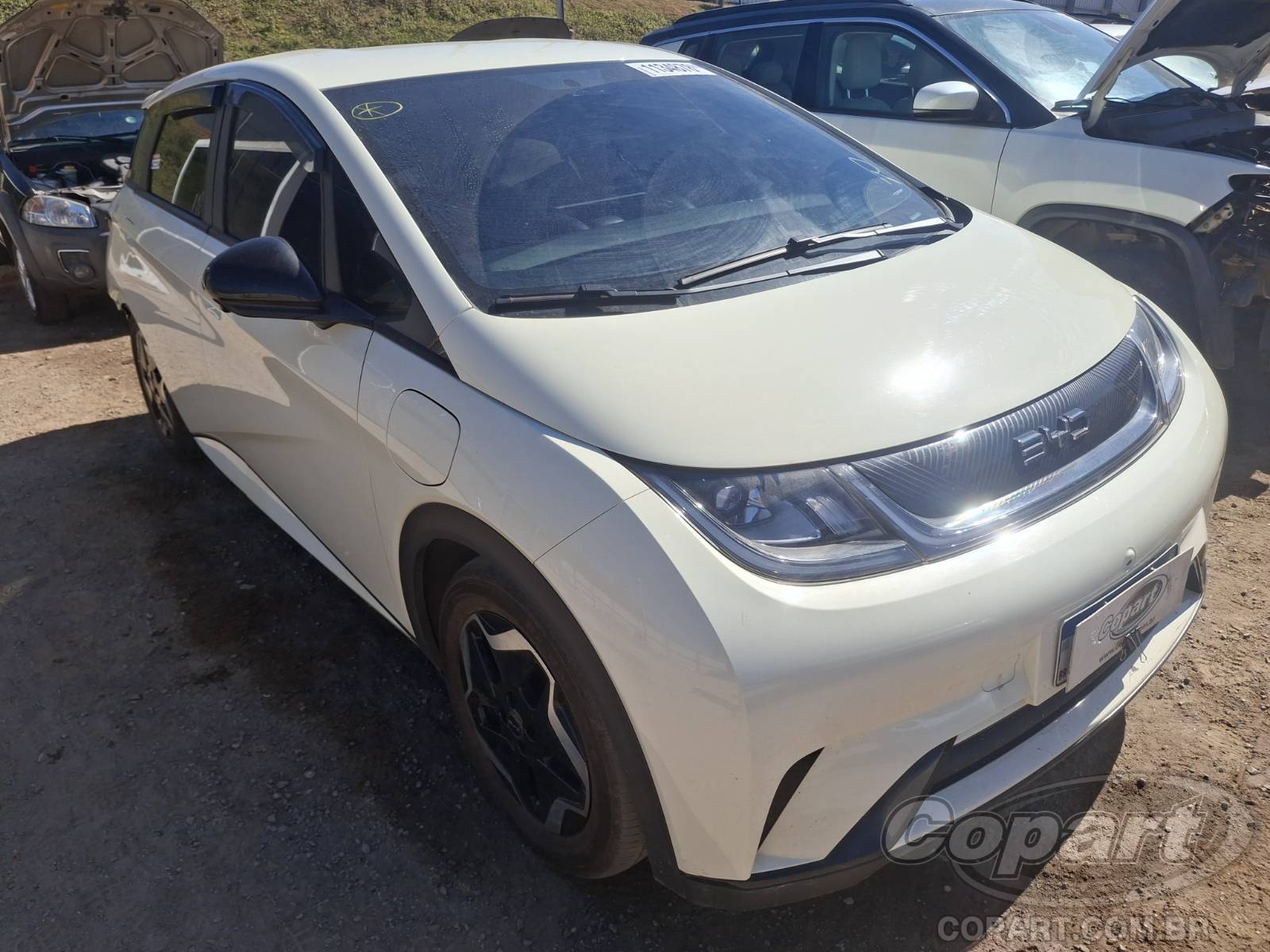 Veículo BYD Dolphin BYD Dolphin EV GS 70 kW 2026 em leilão