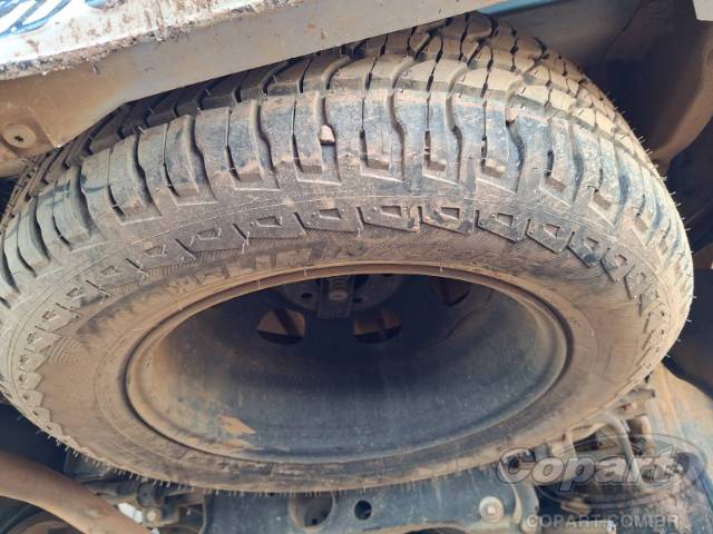 2019 RENAULT DUSTER OROCH 