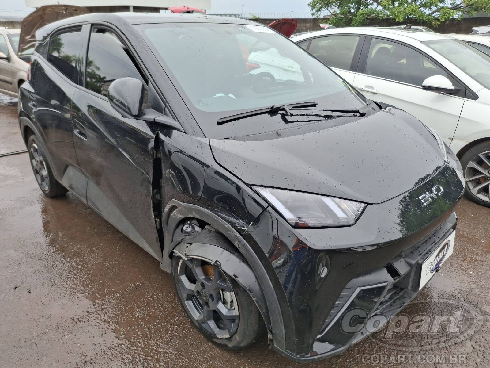 Veículo BYD DOLPHIN MINI BYD Dolphin Mini 2026 2026 em leilão