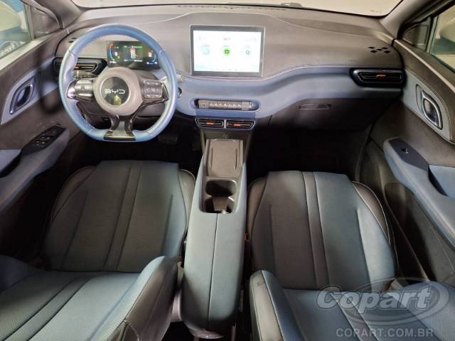 2025 BYD DOLPHIN MINI 