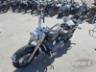 2009 HARLEY-DAVIDSON SOFTAIL 