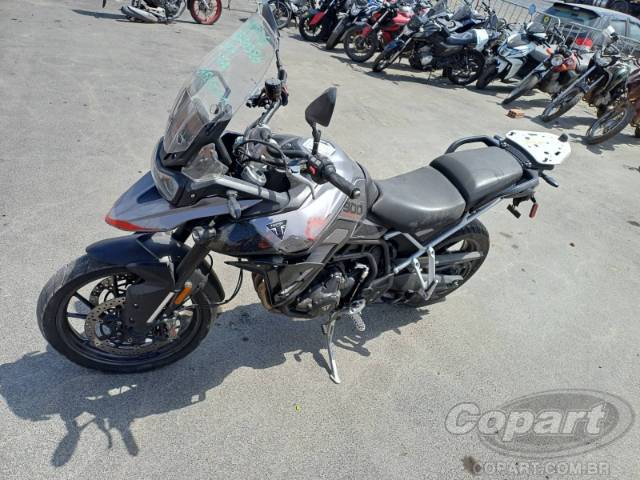 2024 TRIUMPH TIGER 