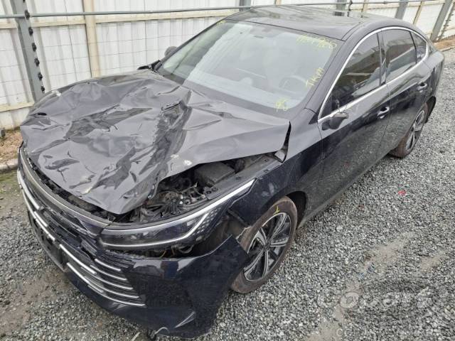 2025 BYD KING 