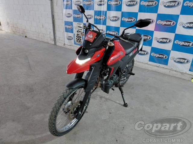 2025 YAMAHA XTZ 250 