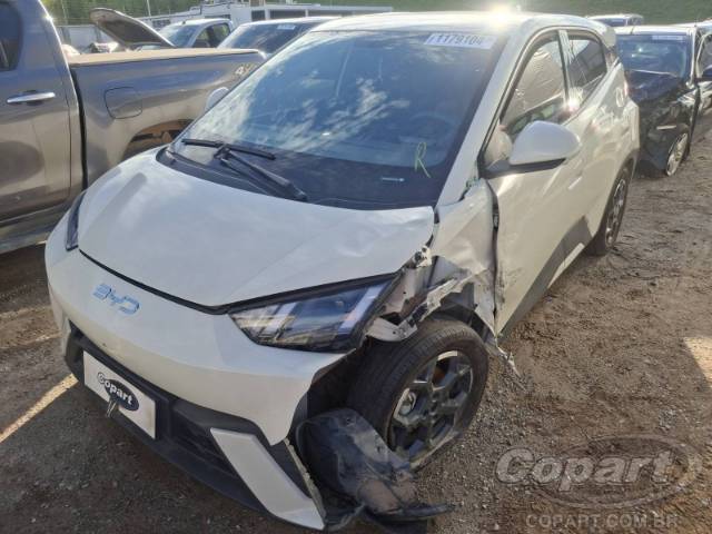 2026 BYD DOLPHIN MINI 