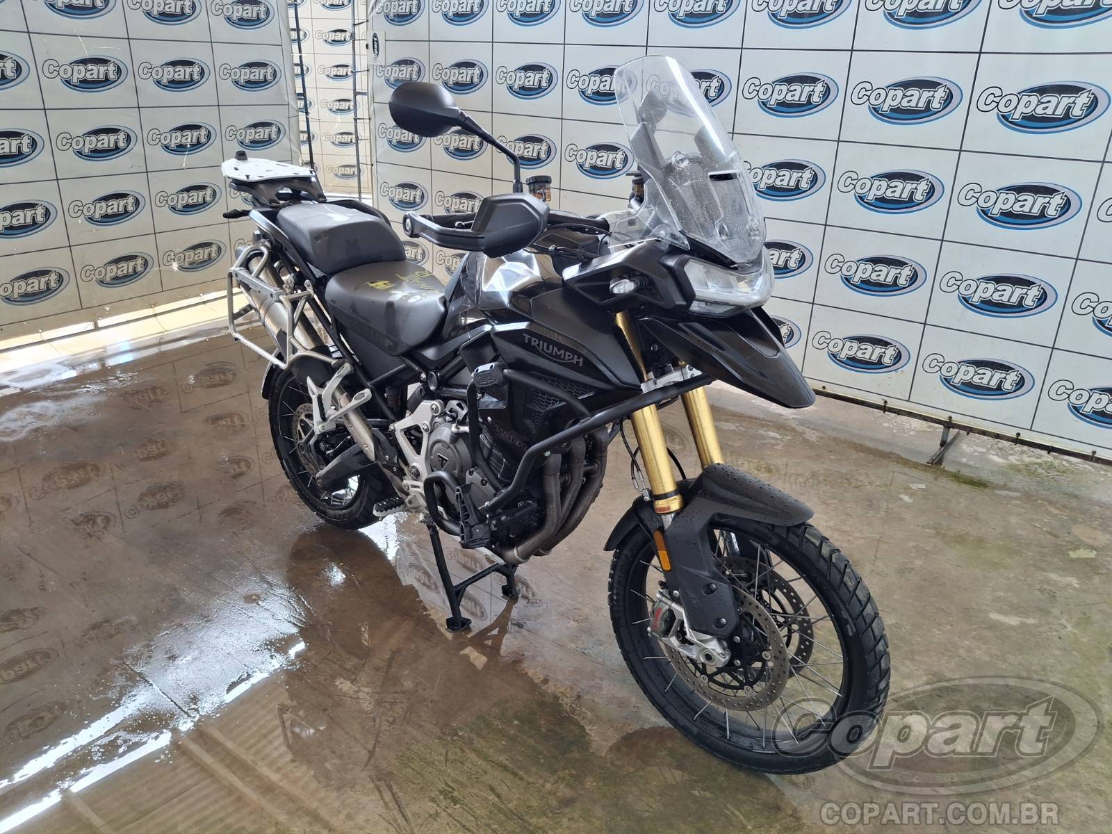 Veículo TRIUMPH Tiger TRIUMPH TIGER 2024 2024 em leilão