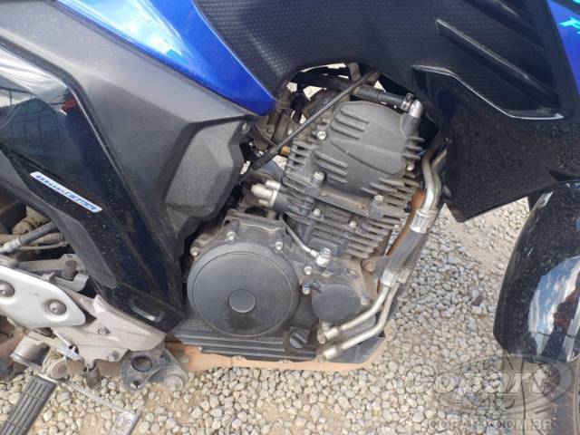 2024 YAMAHA FZ25 FAZER 