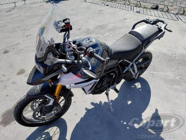2024 TRIUMPH TIGER 