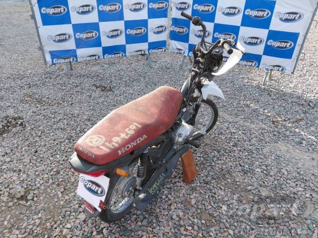 2026 HONDA POP 